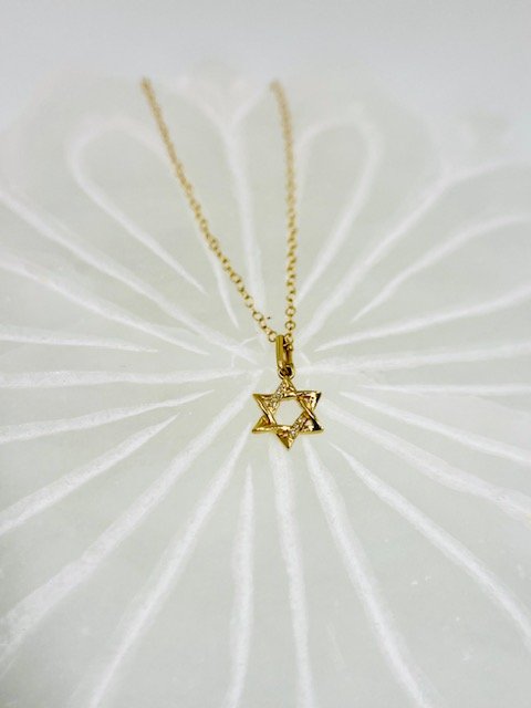 14Kt Yellow Gold Micro Pave Diamond Pettit Star of David on 15.5" Delicate Gold Chain