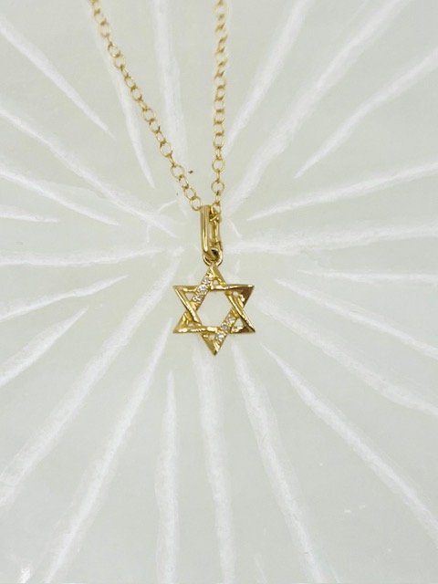 14Kt Yellow Gold Micro Pave Diamond Pettit Star of David on 15.5" Delicate Gold Chain