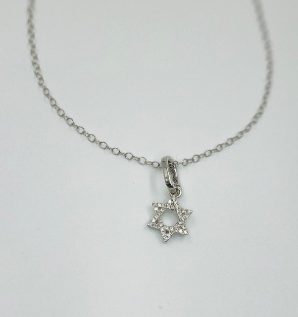 14Kt White Gold and Diamond Pettit Star of David on a 15.5 "Delicate Gold Chain
